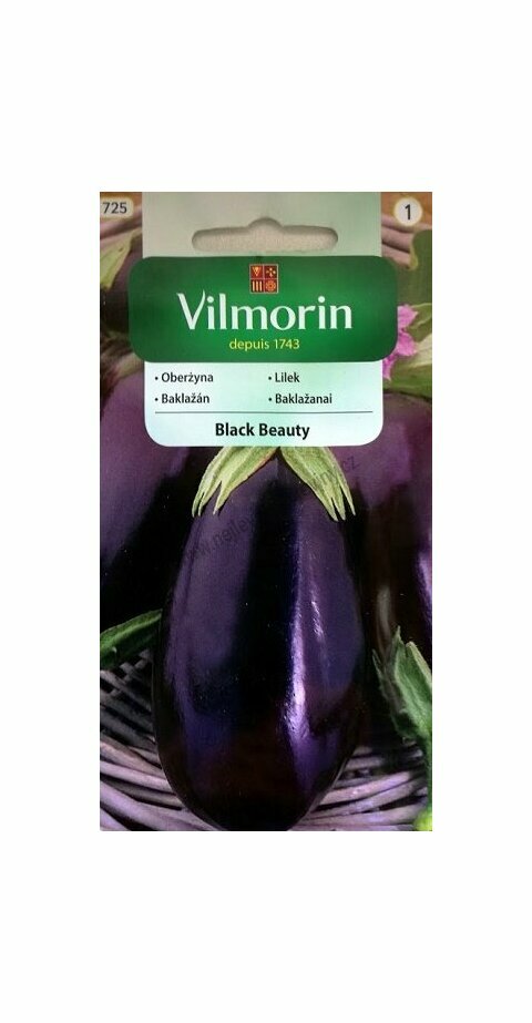 Vilmorin CLASSIC Lilek BLACK BEAUTY 2 g